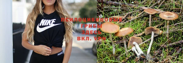 эйфоретик Покачи